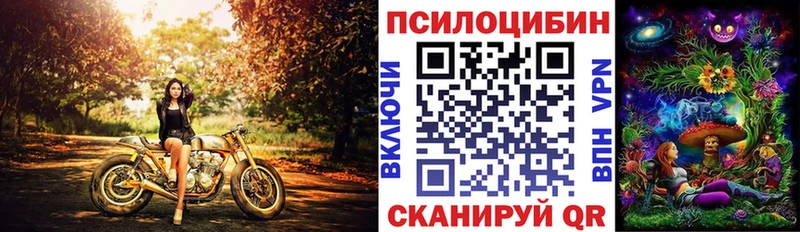 Псилоцибиновые грибы Psilocybe  Новоуральск 